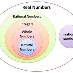 Rational and irrational numbers quiz